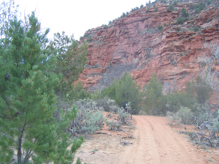 Enlarge photo 12