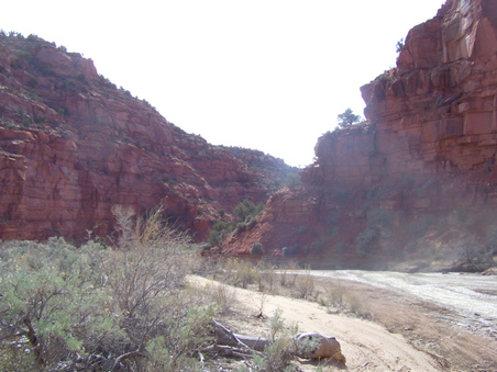 Enlarge photo 15