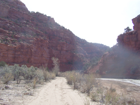 Enlarge photo 16