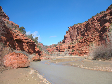 Enlarge photo 20