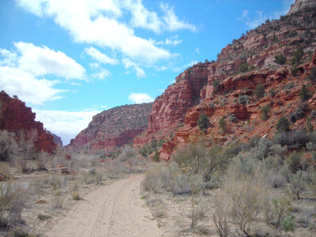 Enlarge photo 22