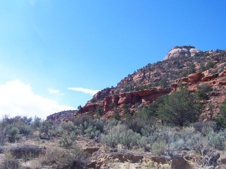 Enlarge photo 25