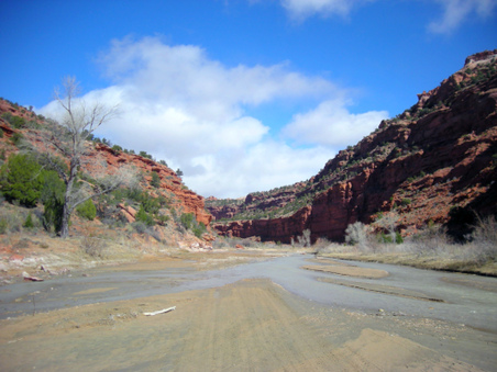 Enlarge photo 29