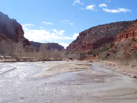 Enlarge photo 30