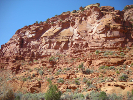 Enlarge photo 31