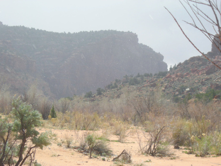 Enlarge photo 44