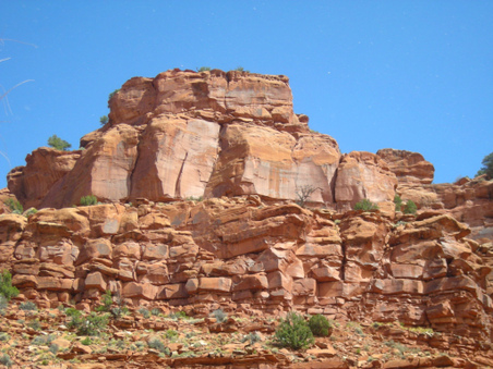 Enlarge photo 45