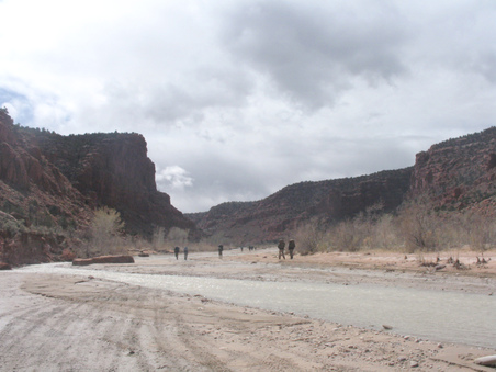 Enlarge photo 47