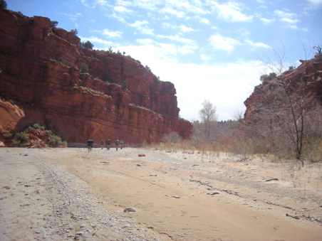 Enlarge photo 51