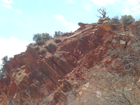 Enlarge photo 48