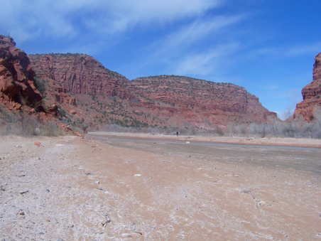 Enlarge photo 49