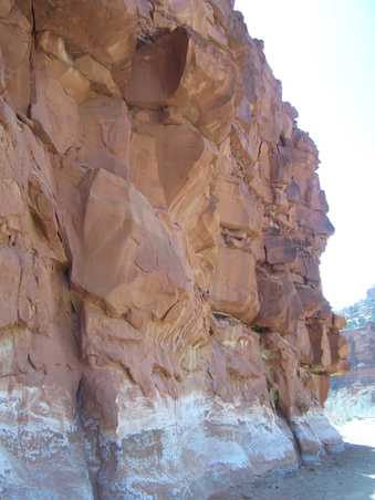 Enlarge photo 57