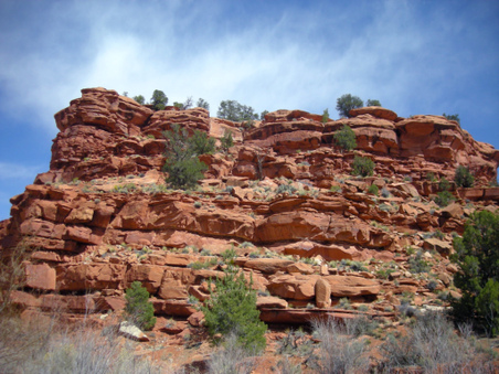 Enlarge photo 60