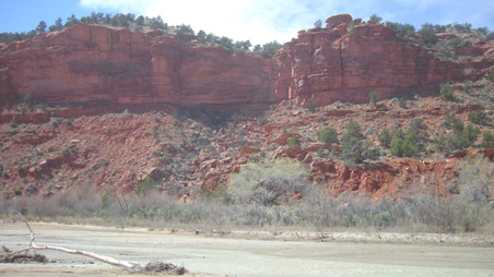 Enlarge photo 64