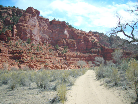 Enlarge photo 67