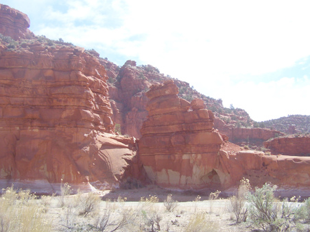 Enlarge photo 71