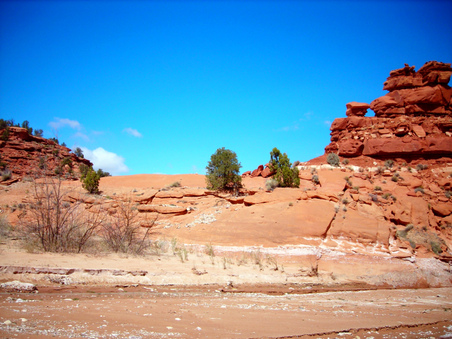Enlarge photo 76