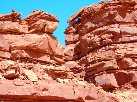 Enlarge photo 77