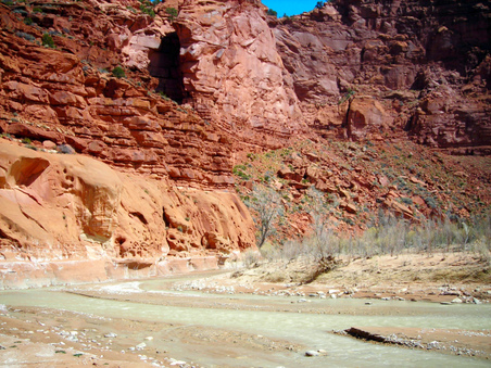 Enlarge photo 78