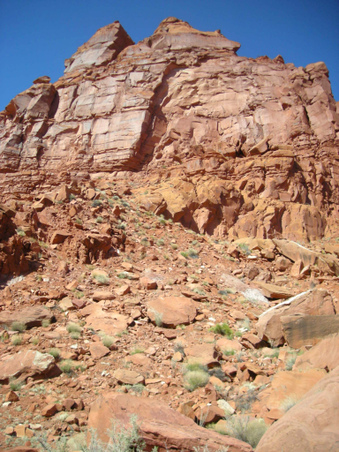 Enlarge photo 87