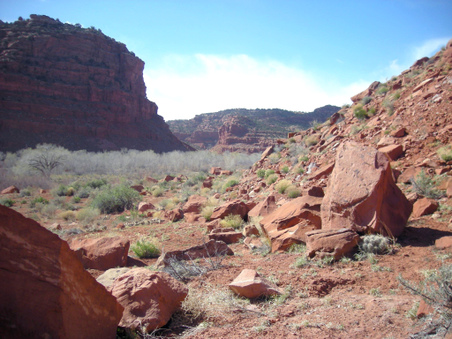 Enlarge photo 88