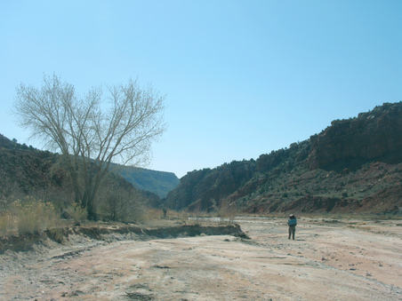 Enlarge photo 41