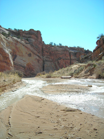 Enlarge photo 42