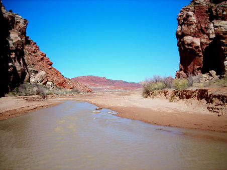 Enlarge photo 43