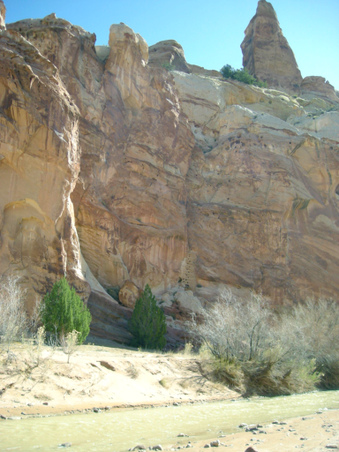 Enlarge photo 49