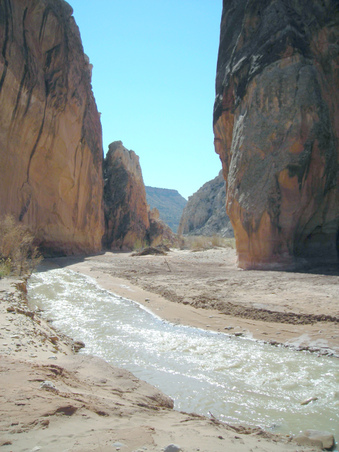 Enlarge photo 56