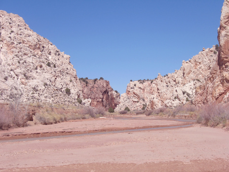 Enlarge photo 58
