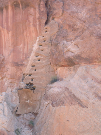 Enlarge photo 46