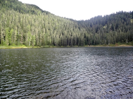 Enlarge photo 5