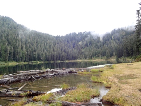 Enlarge photo 18