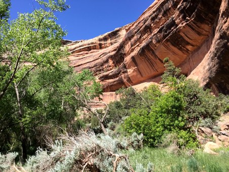 Enlarge photo 42