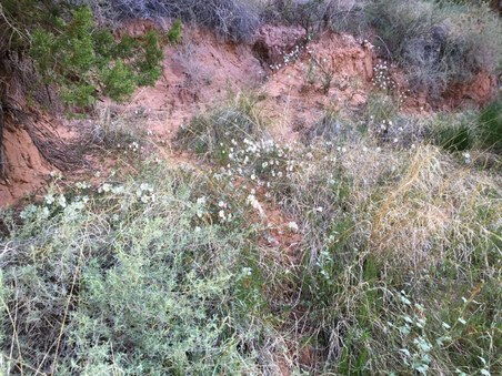 Enlarge photo 39