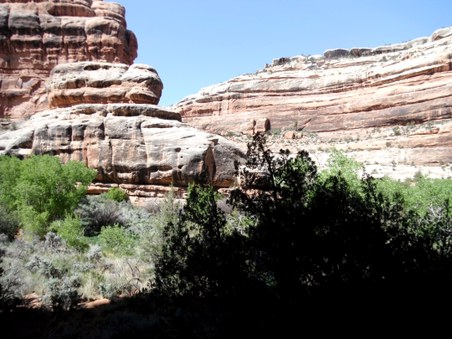 Enlarge photo 43