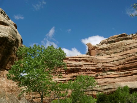 Enlarge photo 46