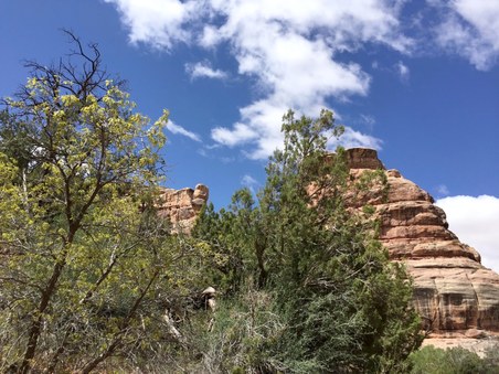 Enlarge photo 48