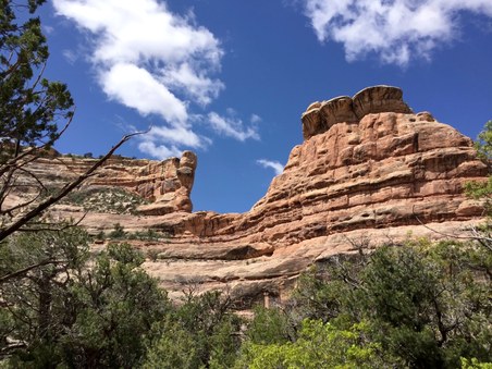 Enlarge photo 51