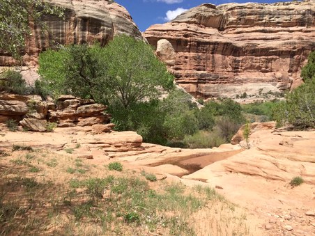 Enlarge photo 52