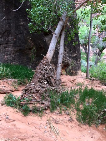 Enlarge photo 73
