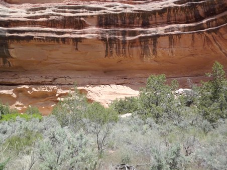 Enlarge photo 75