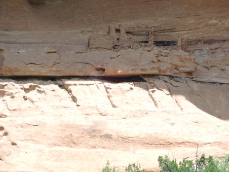 Enlarge photo 77