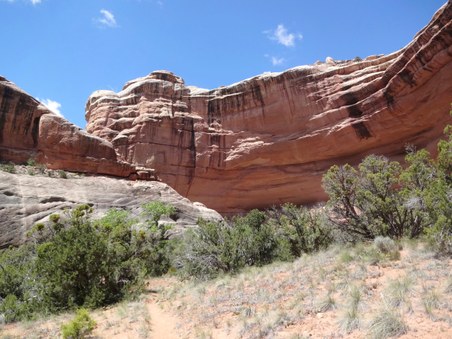 Enlarge photo 87