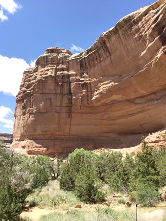 Enlarge photo 91