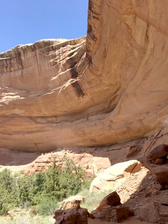 Enlarge photo 92