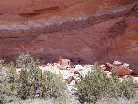 Enlarge photo 130