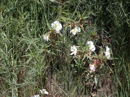Enlarge photo 143