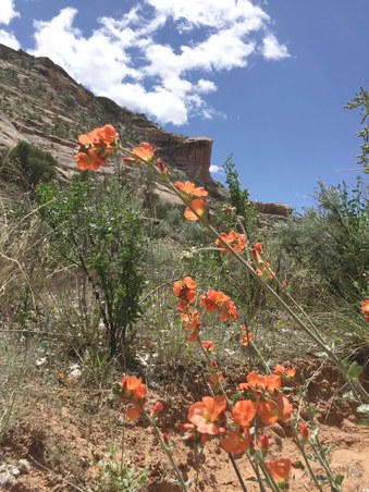 Enlarge photo 151